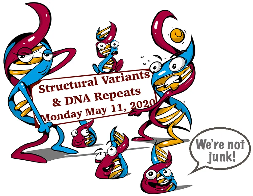 2020 Stanford Genetics Conference SVs and DNA Repeats