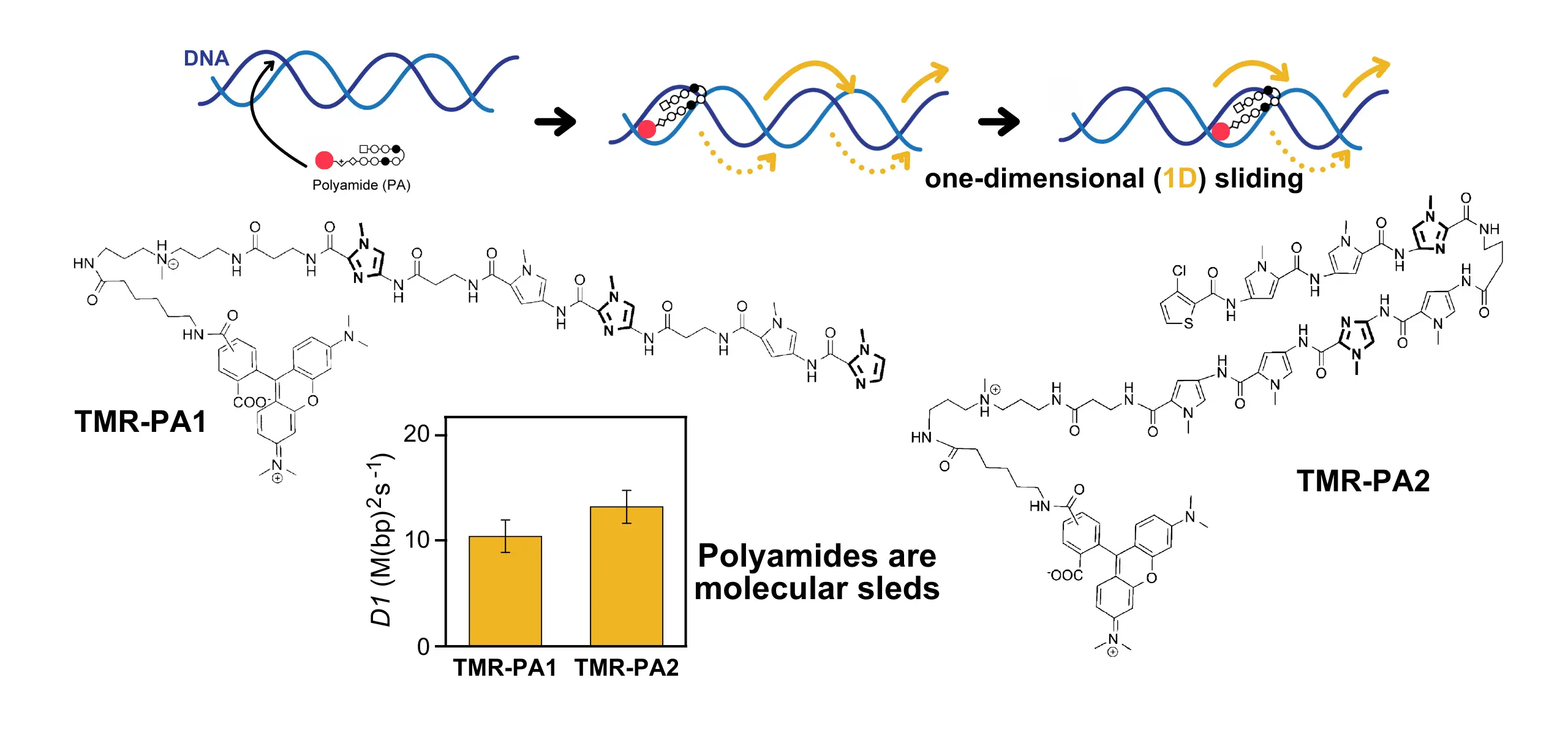 Sliding on DNA